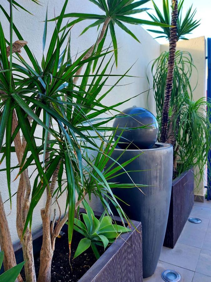 Duplex With Sea Views, Garden And Terrace Lejlighed Santa Cruz de Tenerife Eksteriør billede